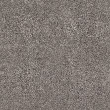 Shaw Floors Pet Perfect Plus Xz194 Shoreline