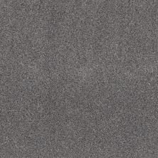 Shaw Floors Pet Perfect Plus Xz194 Silver Lining