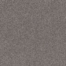 Shaw Floors Pet Perfect Plus Xz194 Harbor Dock