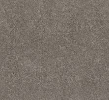 Shaw Floors Pet Perfect Plus Xz194 Desert View