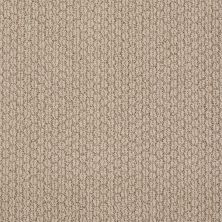 Anderson Tuftex Classics Cathedral Hill Baked Beige 00173_Z6780