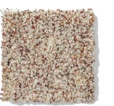 Anderson Tuftex Classics Pure Style I Berber Tweed 813AG_0121B
