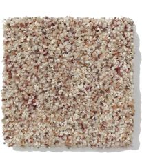 Anderson Tuftex Classics Pure Style I Berber Heather 813AG_0174B