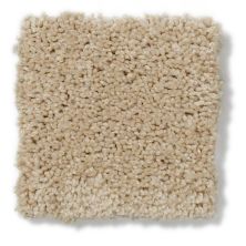 Anderson Tuftex Classics Pure Style I Humus 814AG_00122