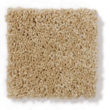 Anderson Tuftex Classics Pure Style I Macadamia 814AG_00232
