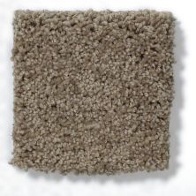 Anderson Tuftex Classics Pure Style I Simply Taupe 814AG_00572
