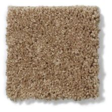 Anderson Tuftex Classics Pure Style I Sable 814AG_00754