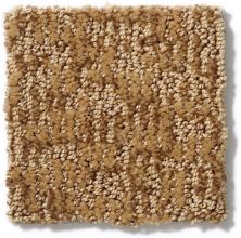 Anderson Tuftex Alante Iverson Slightly Golden 831AG_00726