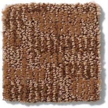 Anderson Tuftex Arietta Heringer Burnt Almond 832AG_00765