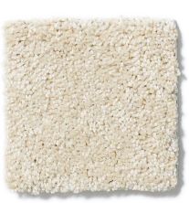 Anderson Tuftex Classics Interlude Icy Ivory 852AG_00122