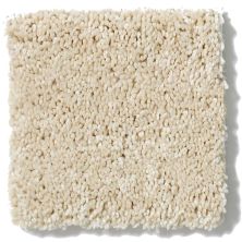 Anderson Tuftex Fantasy Exquisite Icy Ivory 853AG_00122