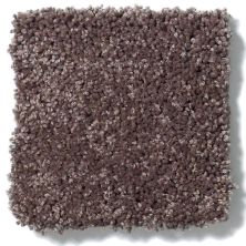 Anderson Tuftex Fantasy Exquisite Smoky Quartz 853AG_00578