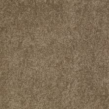 Anderson Tuftex One Sweet Day Phoenix Fossil 00536_Z6854
