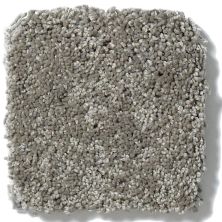 Anderson Tuftex One Sweet Day Soft Approach Steel Wool X 854AG_00556