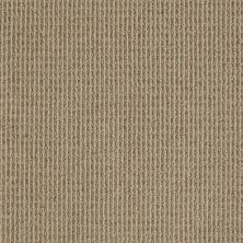 Anderson Tuftex Classics Something New Neutral Taupe 00572_Z6861