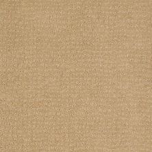 Anderson Tuftex Classics Vibe Golden Fleece 00263_Z6863