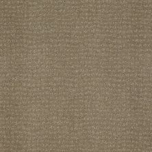 Anderson Tuftex Classics Vibe Greige 00575_Z6863