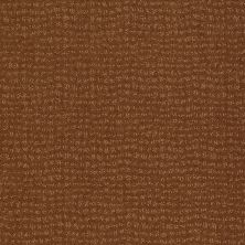 Anderson Tuftex Classics Vibe Roman Brick 00765_Z6863