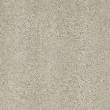 Anderson Tuftex Classics Serendipity II Gray Whisper 00515_Z6942