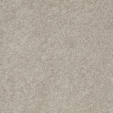 Anderson Tuftex Classics Serendipity II Silver Leaf 00541_Z6942