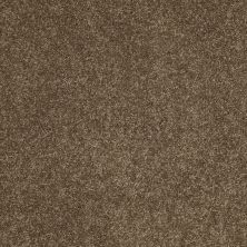 Anderson Tuftex Classics Serendipity II Vicuna 00736_Z6942