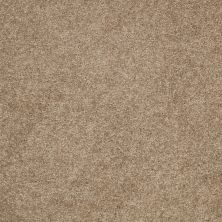 Anderson Tuftex Classics Serendipity II Sable 00754_Z6942