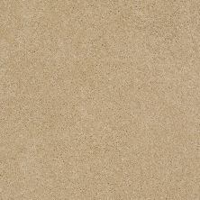 Anderson Tuftex Sasha Honeycomb 00201_Z6945