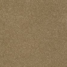 Anderson Tuftex Sasha Maple Glaze 00202_Z6945