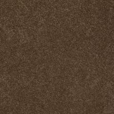 Anderson Tuftex Sasha Derby Brown 00703_Z6945