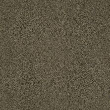 Anderson Tuftex Sasha Glorious 00712_Z6945