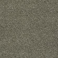 Anderson Tuftex Sasha Before Dark 00716_Z6945