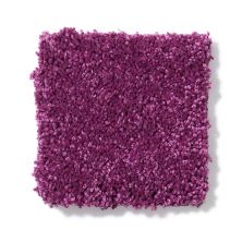 Anderson Tuftex Pop Culture Dreamy Z6948_00986
