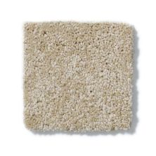 Anderson Tuftex Pet Perfect Izzy Biscuit Z6950_00104