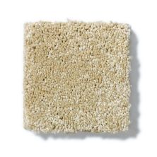 Anderson Tuftex Pet Perfect Izzy Honeycomb Z6950_00201