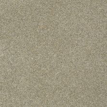Anderson Tuftex Gus Inca Gold 00115_Z6956
