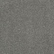 Anderson Tuftex Gus Pixie Dust 00511_Z6956