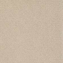 Anderson Tuftex Classics New Vibe Gilded Ivory 00120_Z6957
