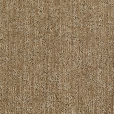 Anderson Tuftex American Home Fashions Caswell Arizona 00724_ZA775
