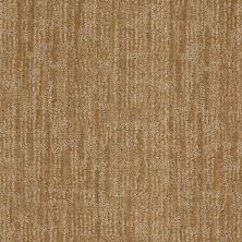 Anderson Tuftex American Home Fashions Elsmere Vintage Gold 00234_ZA829
