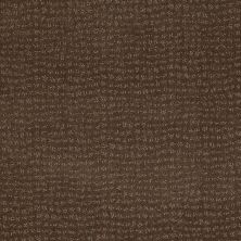 Anderson Tuftex American Home Fashions Pure Essence Timberline 00755_ZA863