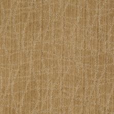 Anderson Tuftex American Home Fashions So Rare Honey Grove 00223_ZA869