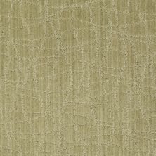 Anderson Tuftex American Home Fashions So Rare Woven Reed 00313_ZA869