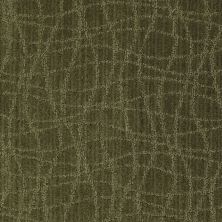 Anderson Tuftex American Home Fashions So Rare Cocktail Olive 00336_ZA869