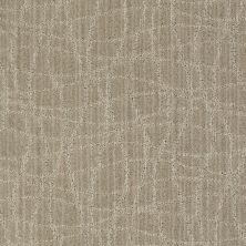 Anderson Tuftex American Home Fashions So Rare Fossil 00512_ZA869