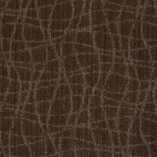 Anderson Tuftex American Home Fashions So Rare Mineral 00579_ZA869