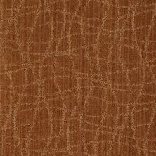 Anderson Tuftex American Home Fashions So Rare Melted Copper 00626_ZA869