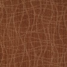 Anderson Tuftex American Home Fashions So Rare Brushed Clay 00685_ZA869