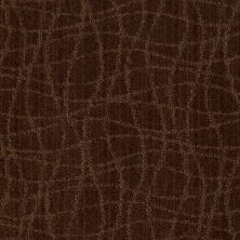 Anderson Tuftex American Home Fashions So Rare Catskill Brown 00777_ZA869