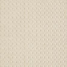 Anderson Tuftex American Home Fashions Proud Design Brushed Ivory 00111_ZA883