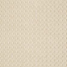Anderson Tuftex American Home Fashions Proud Design Dream Dust 00220_ZA883